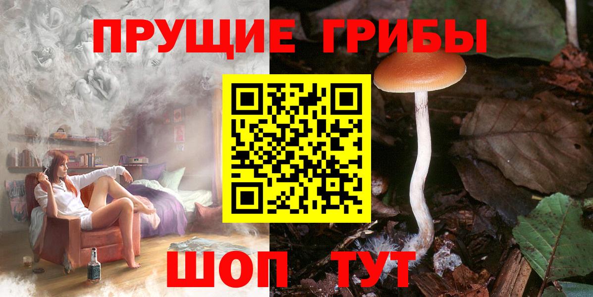 Галлюциногенные грибы мухоморы  Вход с VPN  Псилоцибиновые грибы GOLDEN TEACHER  Холмск 