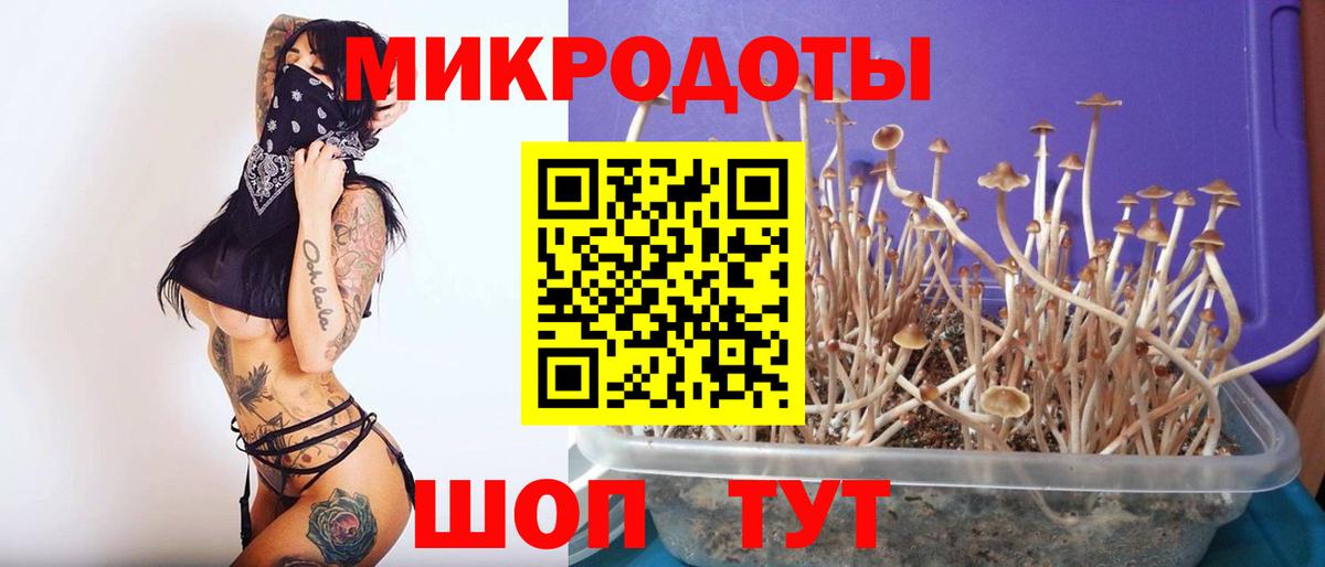 Псилоцибиновые грибы GOLDEN TEACHER Холмск